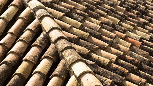 Houston Roof Repair: Flat to Steep, Expert Solutions for Every Need
