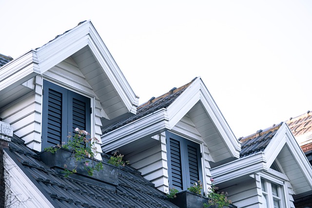 Houston, roof, roof repair