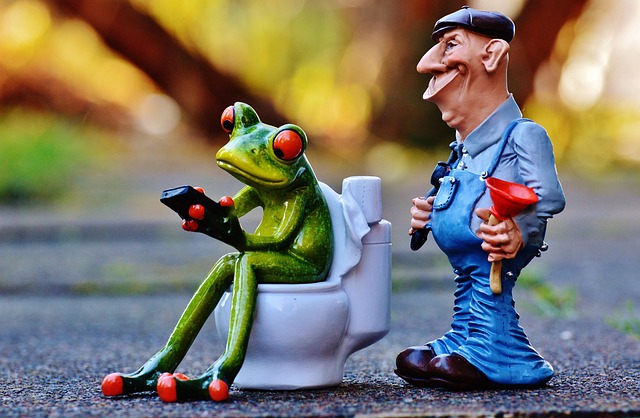 Eco-Friendly Plumbing Services in Fort Collins for Sustainable Homes