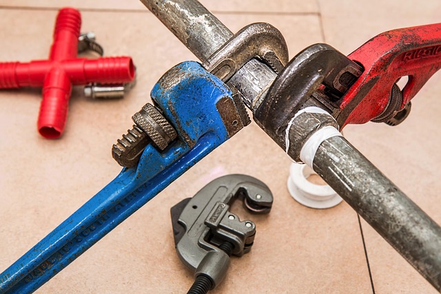Top-Rated Fort Collins Plumbers: Navigating Local Services for Your Needs