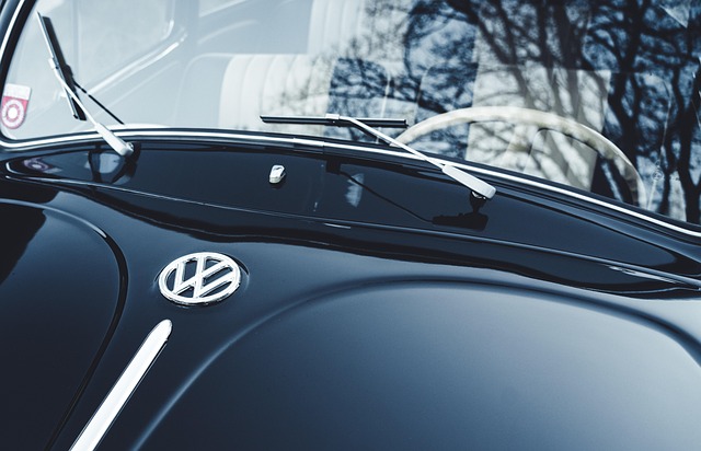 Car Title Loan Geographical Distribution: Unveiling Demographic Patterns