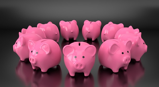 Best Car Title Loans: Weighing Risks vs. Rewards for Quick Cash