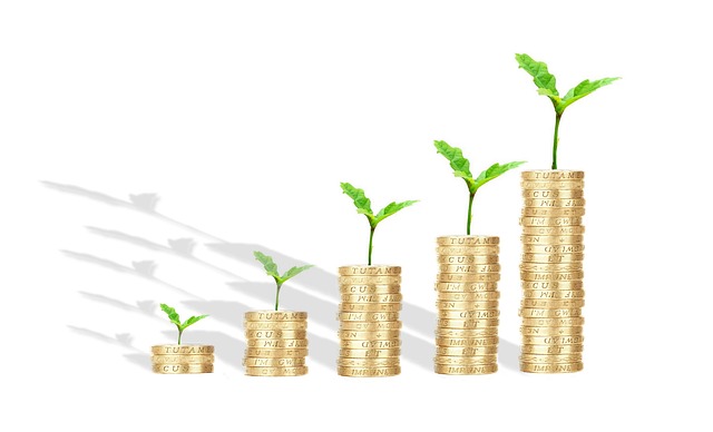 Unlocking Cash: Requirements & Tips for Title Pawn Approval