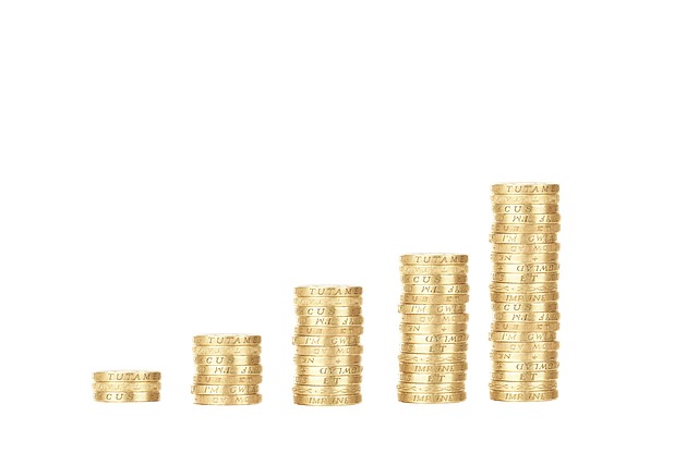 Car Title Loans for Disabled: Navigating Terms and Interest Rates