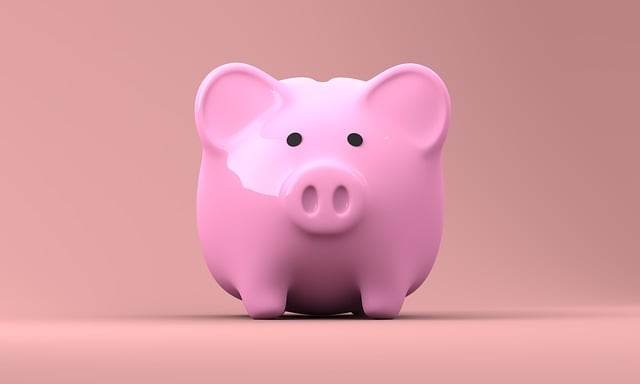 Unraveling No Credit Check Title Loans: Benefits and Drawbacks