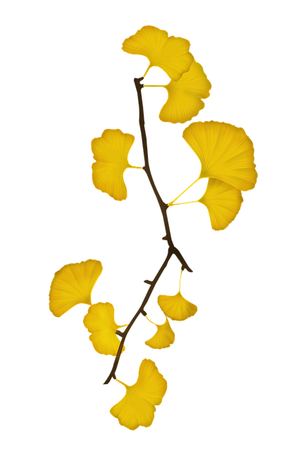 bank-640x480-27660358.png