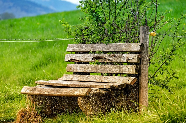 Title Loan Charitable Programs 2025: Trends & Updates