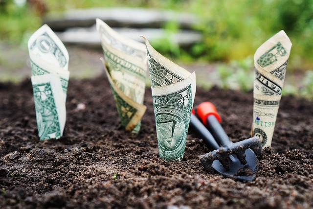 Unleashing Potential: Exploring Title Loan Financial Inclusion Programs