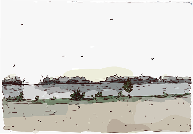 Bank
