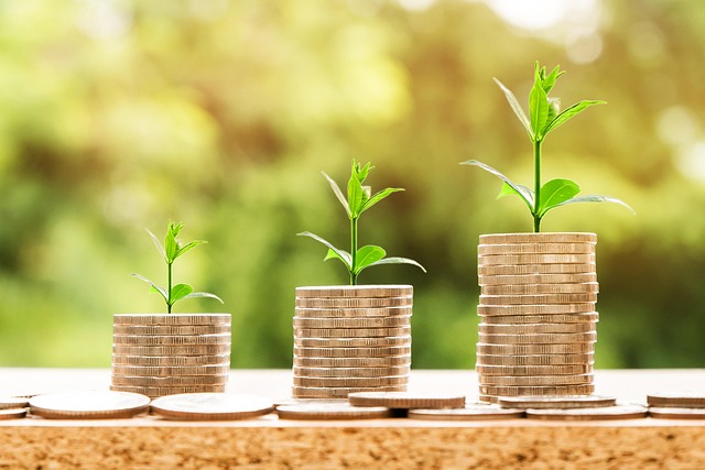 Car Title Loan Student Discounts: Effective Management for Urgent Expenses