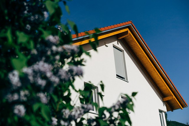 Robust Verification Cracks Down on Title Loan Fraud
