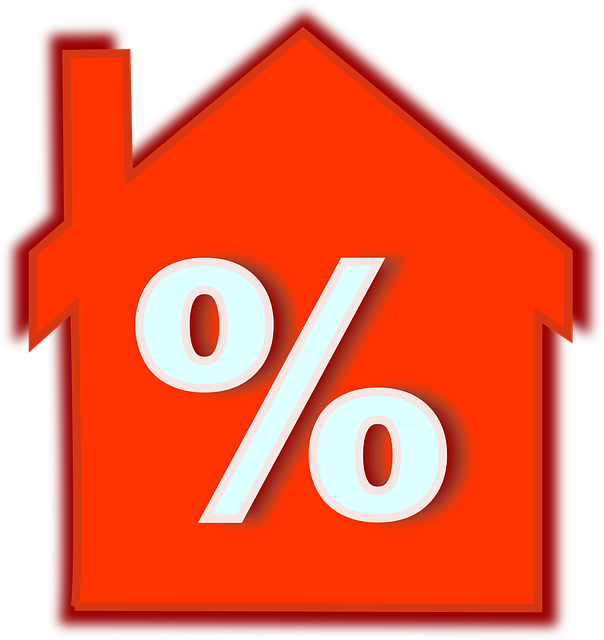 Car Title Loan Payment Flexibility: Balancing Risk and Responsibility