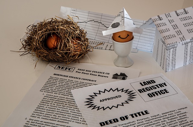 Mastering the Texas Title Loan Mobile App: A Step-by-Step Guide