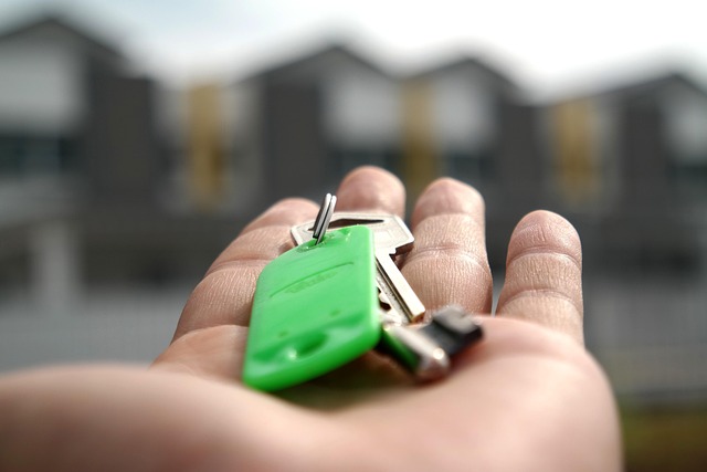 Bonham Title Loans vs Bank Options: Weighing Benefits and Drawbacks