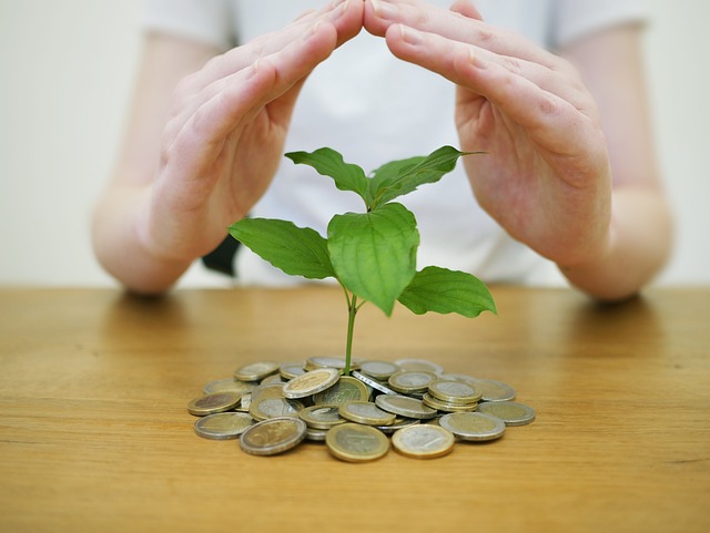 Money