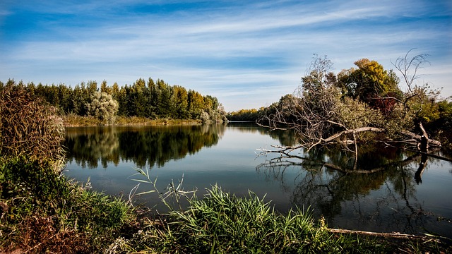 Unveiling Texas Hill Country Title Loans: Unique Benefits and Navigating Challenges