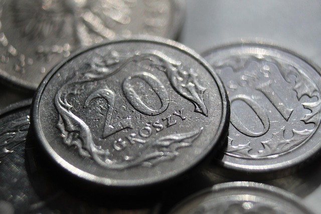 Streamlining Loans: Pros and Cons of Title Loan Apps