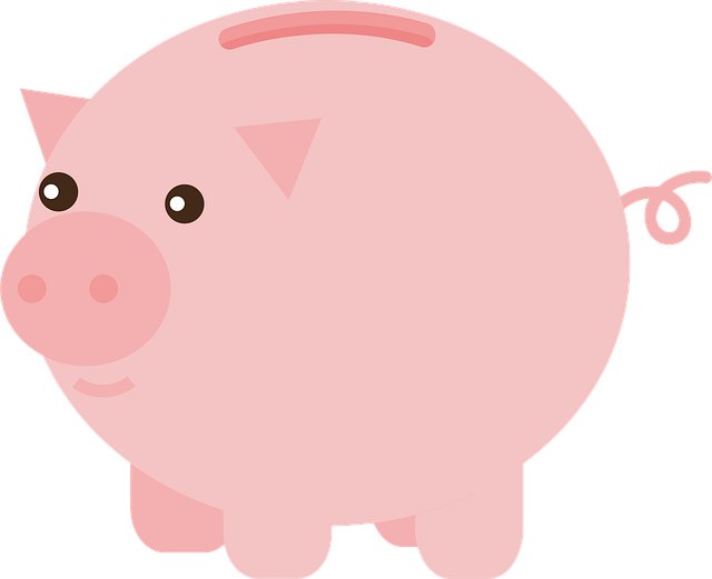 Loan