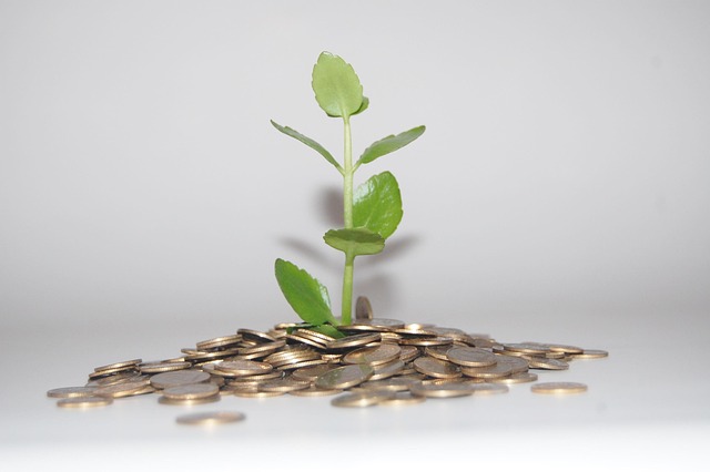money-640x480-33486308.jpeg