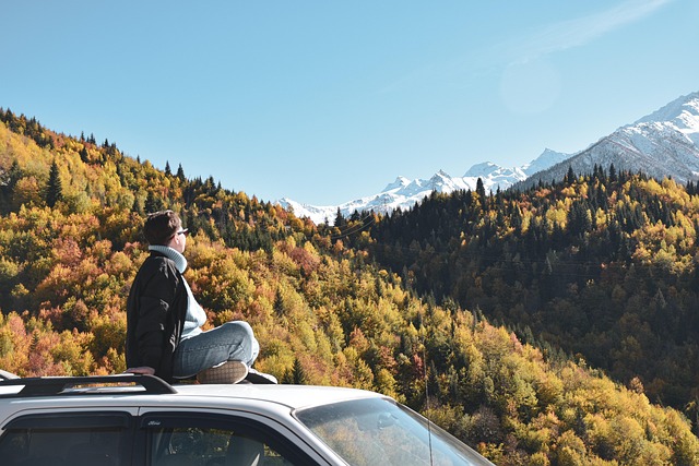 Car Title Loan Cosigner Rights and Responsibilities Unveiled