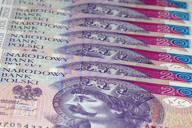 Navigating Texas Title Loans: Avoid Scams, Ensure Fast Funding Safety