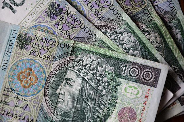 Car Title Loans: Benefits and Risks Explained