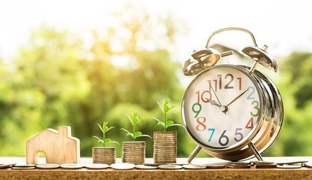 Loan
