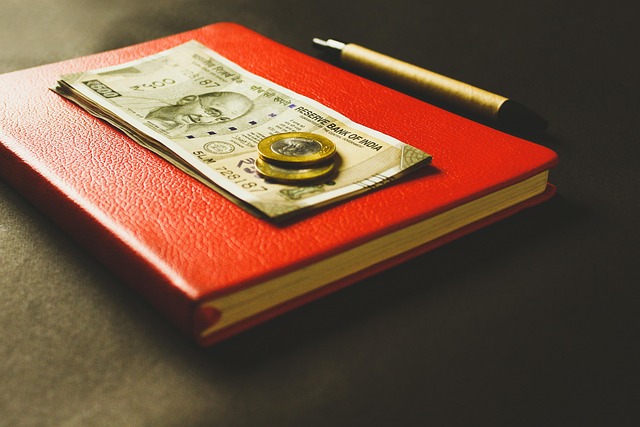 Verifying Age: Senior Citizen Title Loan Programs’ Key Step