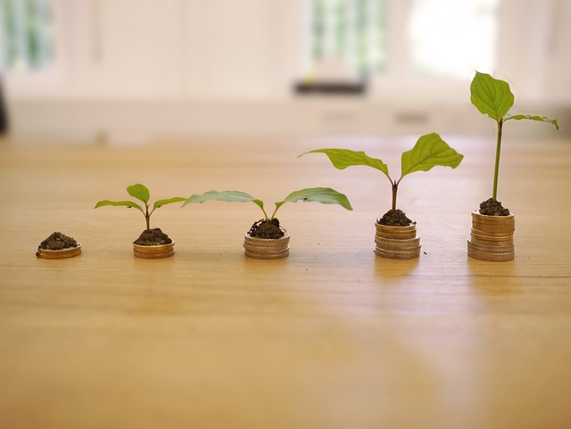 Title Loan Growth: Future Projections & Driving Factors Analyzed