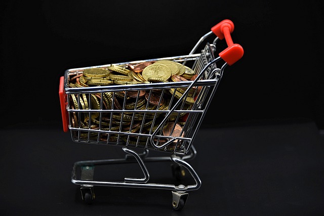 Car Title Loans: Smart Shopping for Christmas Debt